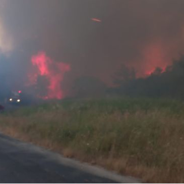 Çanakkale'de orman yangını