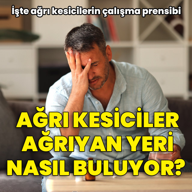 Ağrı kesiciler ağrıyan yeri nasıl buluyor?