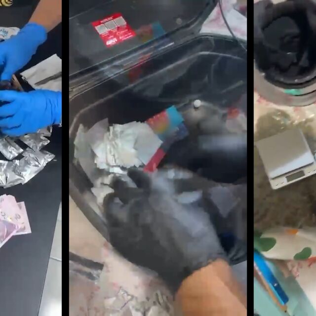Uyuşturucu operasyonunda 844 tutuklama