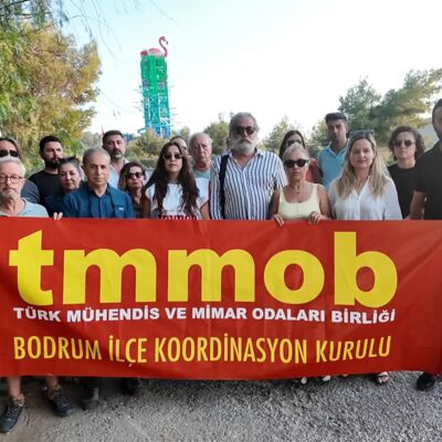 Bodrum'da "dev flamingo" tepkisi