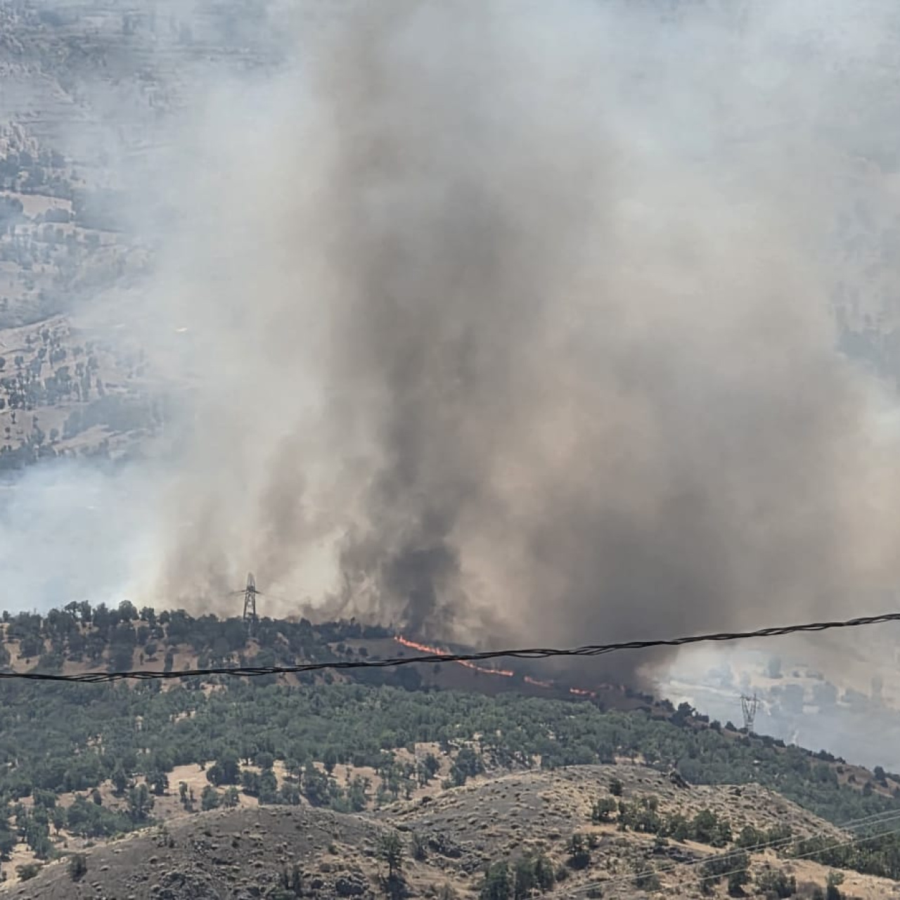 Adıyaman'da orman yangını!