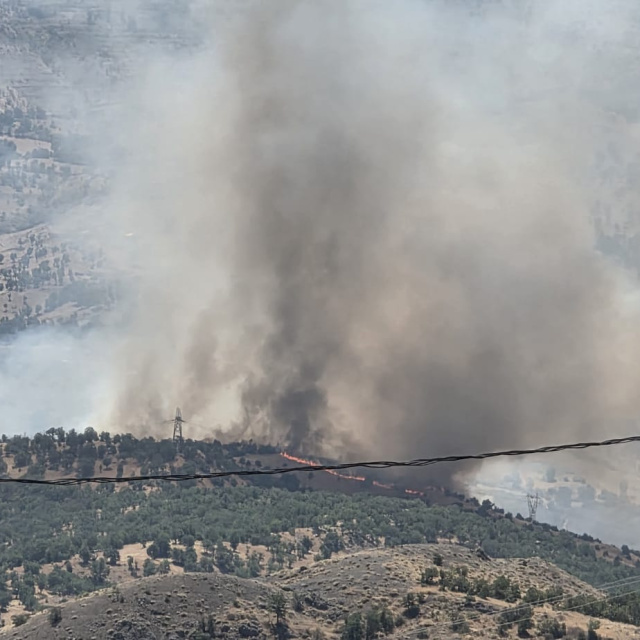 Adıyaman'da orman yangını!