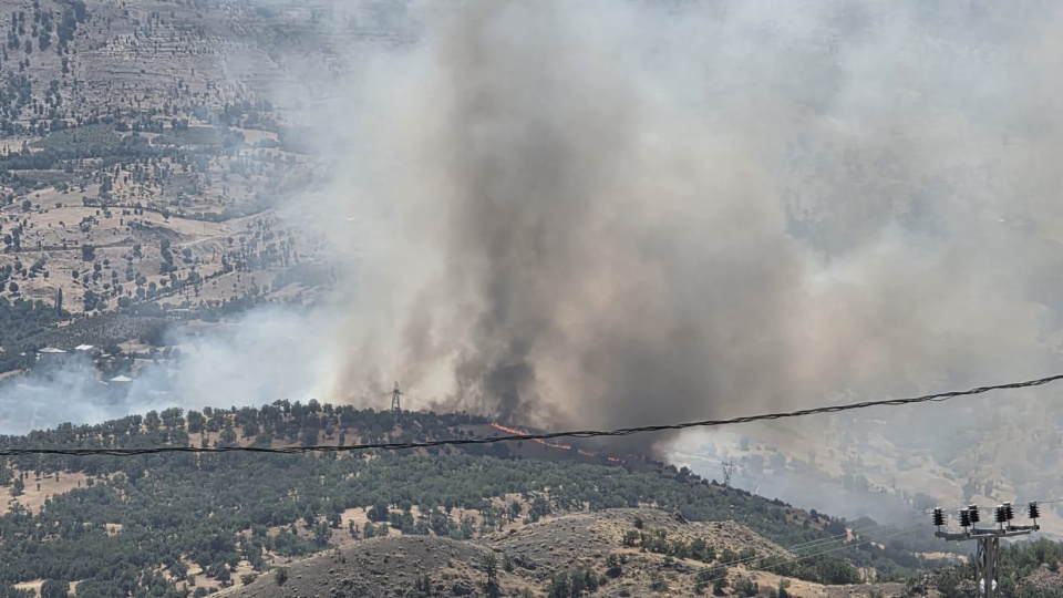Adıyaman'da orman yangını!