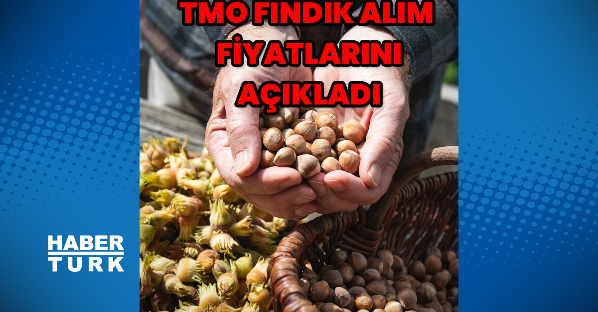 TMO fındık alım fiyatlarını açıkladı