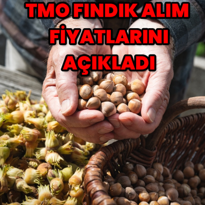 TMO fındık alım fiyatlarını açıkladı