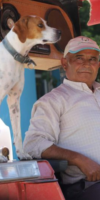 Çiftçinin 'yol arkadaşı' Benekli