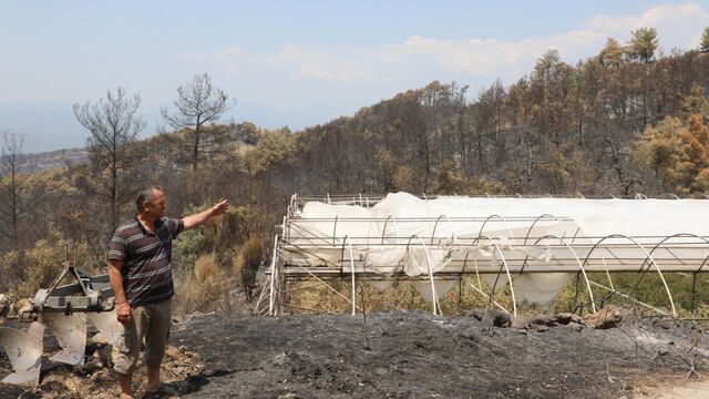 Muğla Büyükşehir'den yangından etkilenenlere destek