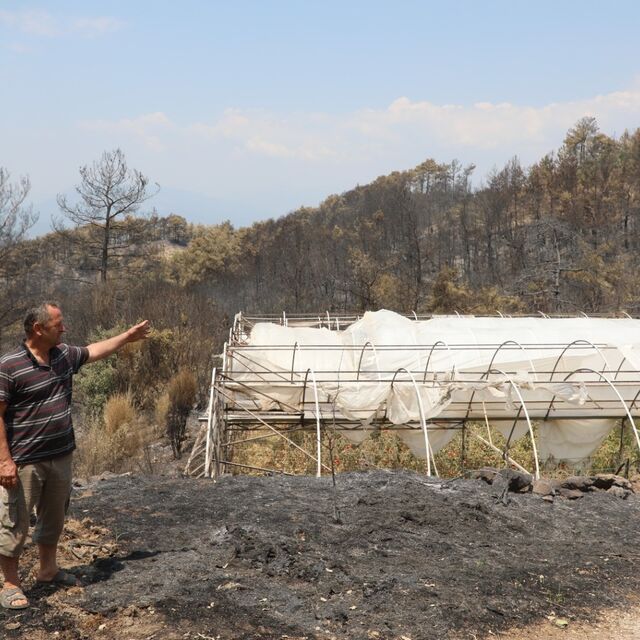 Muğla Büyükşehir'den yangından etkilenenlere destek