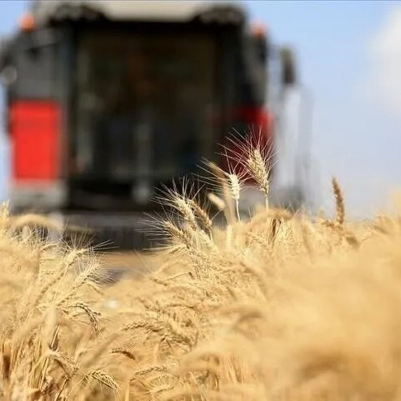 Küresel gıda fiyatları 3,5 yılın zirvesinde