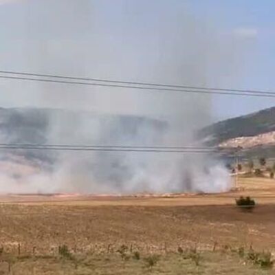 Tarlayı ateşe veren zanlı yakalandı
