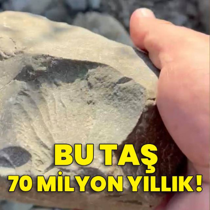 Bu taş 70 milyon yıllık!
