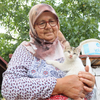 Emekli çift, bahçesini kedilere yuva yaptı