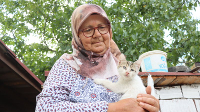Emekli çift, bahçesini kedilere yuva yaptı