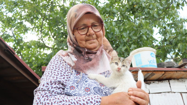 Emekli çift, bahçesini kedilere yuva yaptı