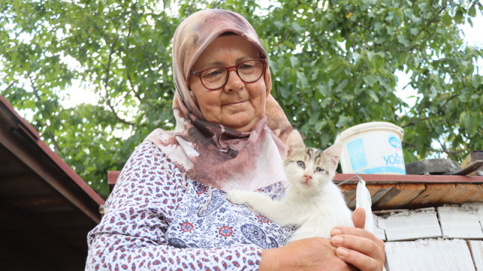 Emekli çift, bahçesini kedilere yuva yaptı
