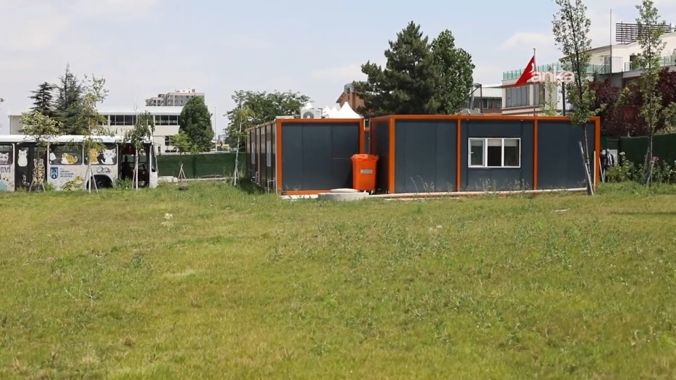Başkent'te kedilere özel merkez