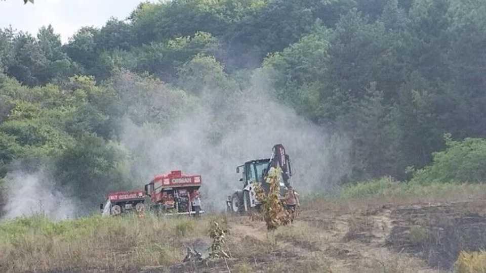 Bursa'da orman yangını kontrol altında
