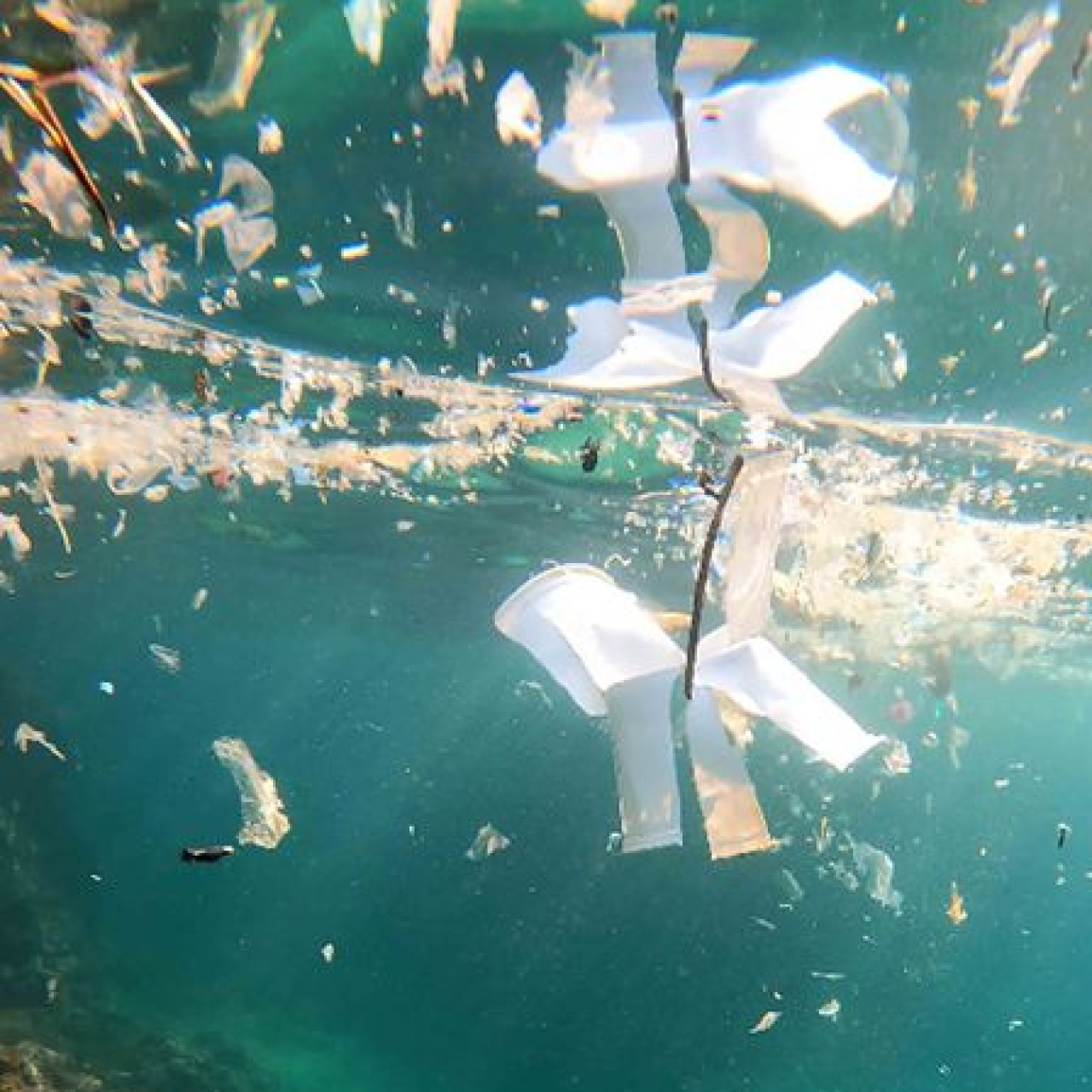 Denizin Derinliklerinde Bir Tehlike: Mikroplastik Salgınının Şok İfadeleri