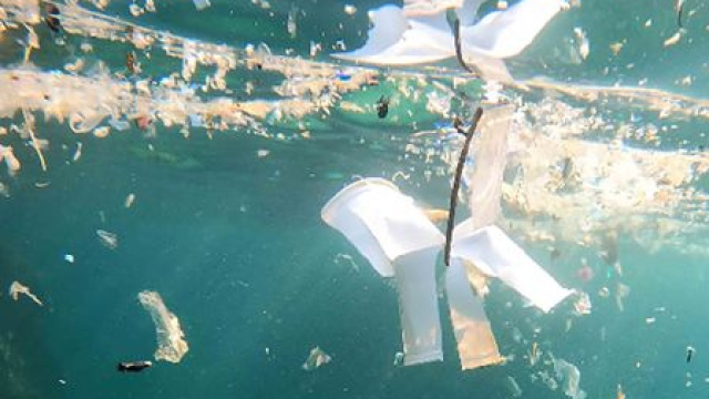 Su altında mikroplastik alarmı