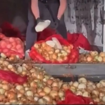 Soğan torbaları içinden çıktı: 150 kilo