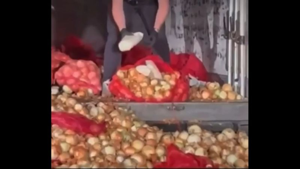 Soğan torbaları içinden çıktı: 150 kilo