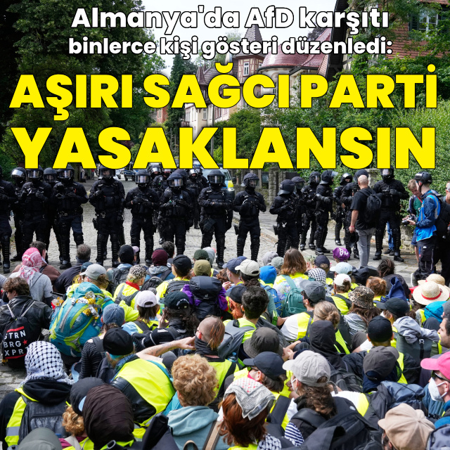 Almanya'da AfD protestosu