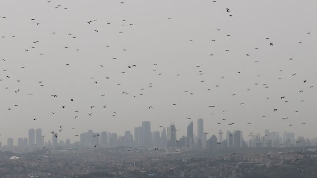 WWF Türkiye'den enerji şirketlerine çağrı