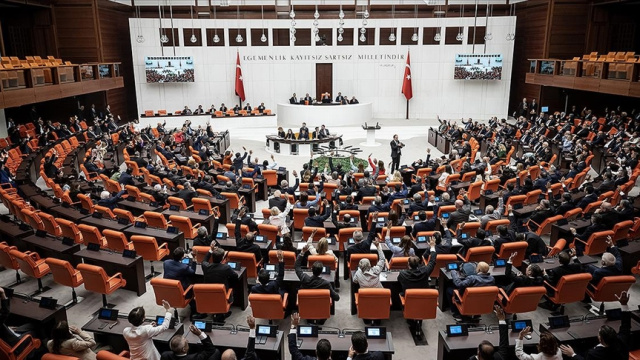 Çerçeve Yasa maddeleri ve içeriği