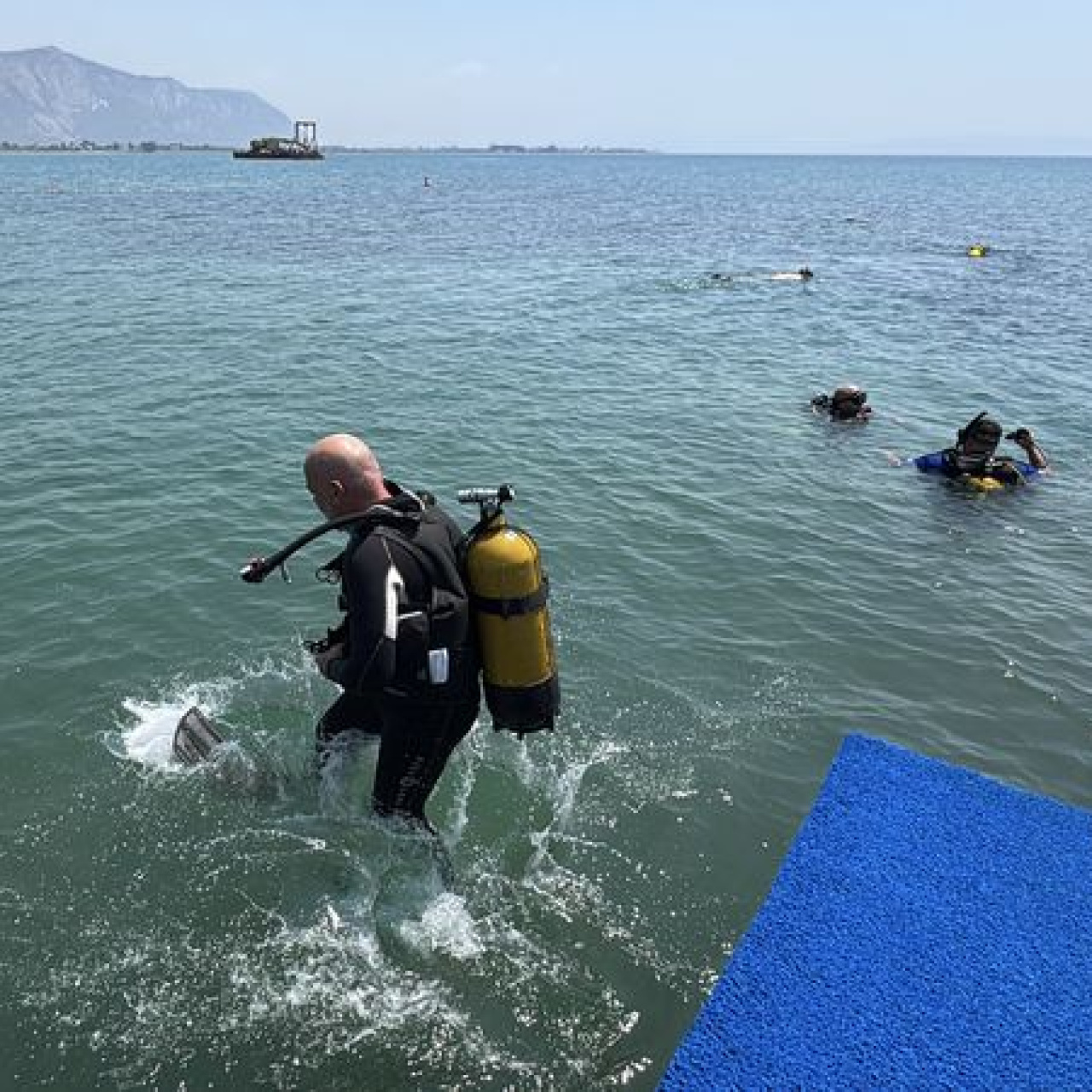 Deniz çayırları projesinin sonuçları açıklandı haber görseli
