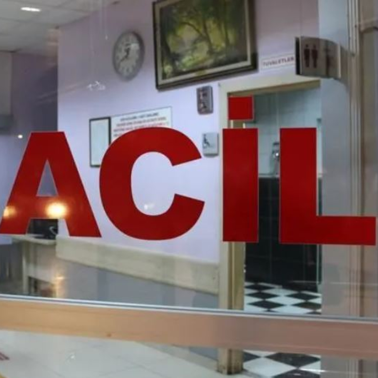 Van'da Umutsuz Bir Son: Küçük Bir Yaşam Sönenildi