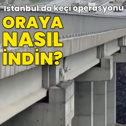 Oraya nasıl indin?