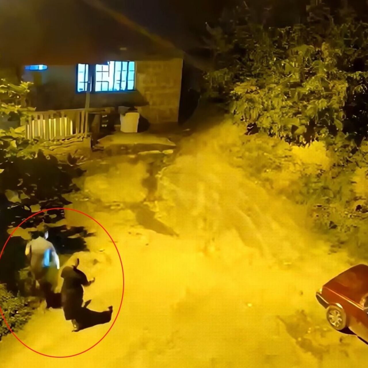 Hopa'da Karanlıkta Korku: Ayı Görüntüsüyle Evden Kaçış!