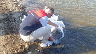 Göletlere 80 bin yavru balık bırakıldı