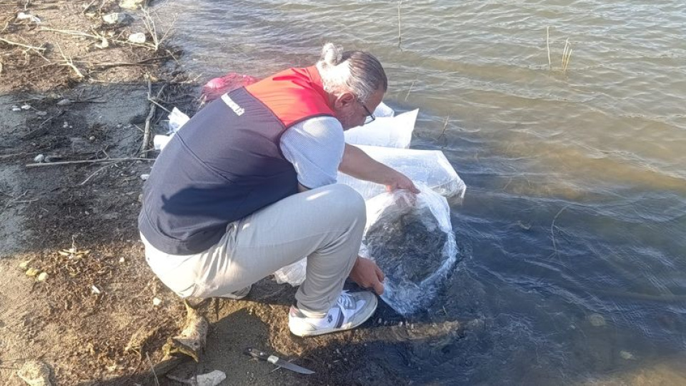 Göletlere 80 bin yavru balık bırakıldı