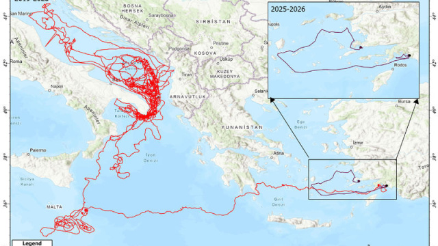 25 bin kilometre yol katetmişti... Bodrum açıklarında!