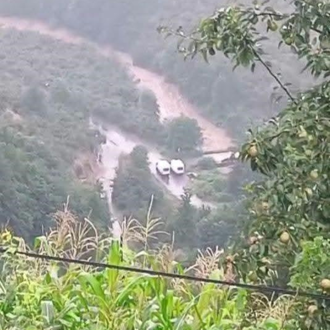 Giresun'da Doğal Afetin Umulmadık Yere Eli Uzattı: Aile Bulanıklaşırken Acil Müdahale Çağrısı!