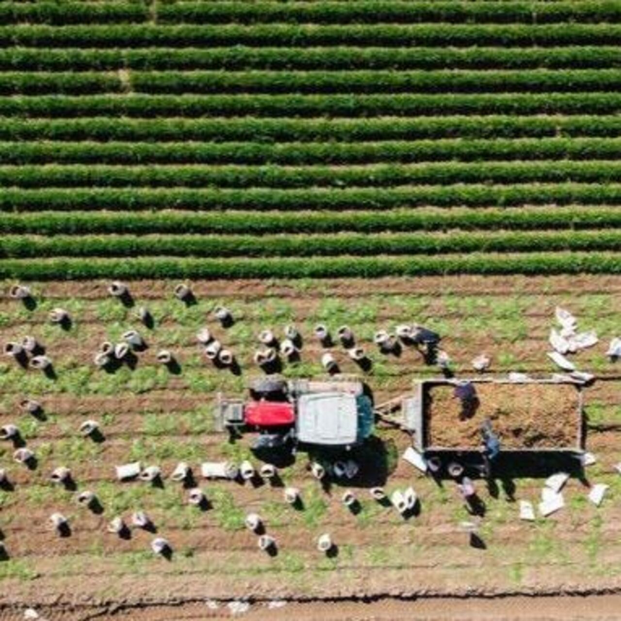 Çiftçilere 6 ayda 106 milyar lira destek ödemesi yapıldı