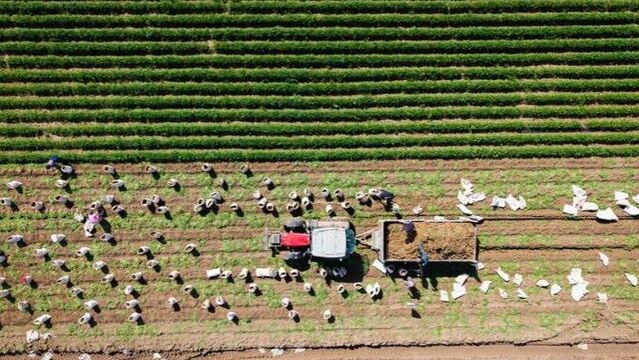 Çiftçilere 6 ayda 106 milyar lira destek ödemesi yapıldı