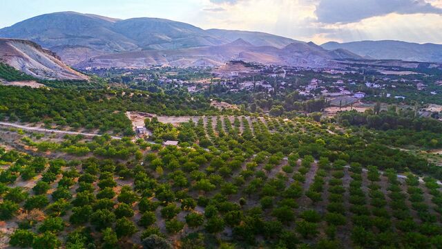 17 milyonun yaklaşık 9 milyonu Malatya'da