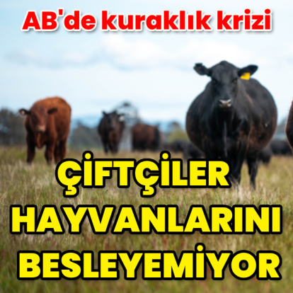 AB'de Kuraklık Krizi