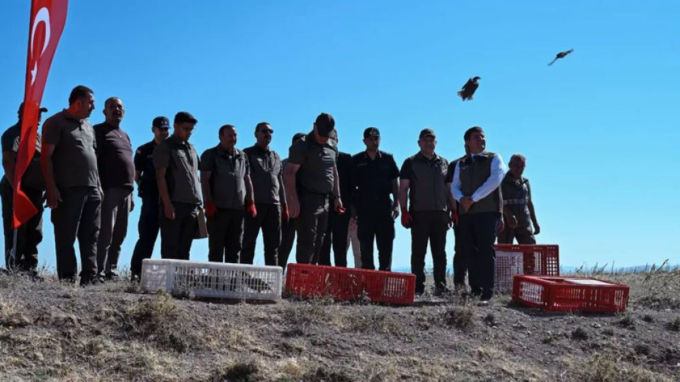 Kırıkkale'de doğaya keklikler salındı