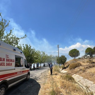 Balıkesir Edremit'te orman yangını!