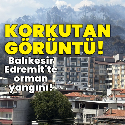 Balıkesir Edremit'te orman yangını!