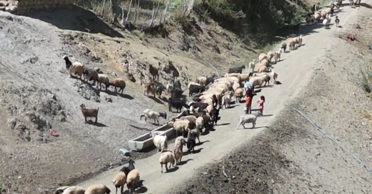 Su için her gün 3 kilometre