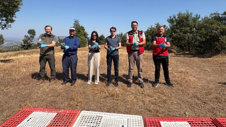 Gördes'te doğaya 500 keklik bırakıldı