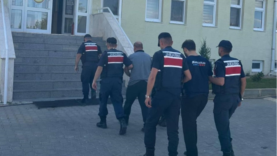Köpek kavgası cinayetle bitti