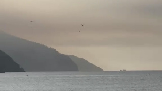 Muğla'daki yangın ikinci gününde!