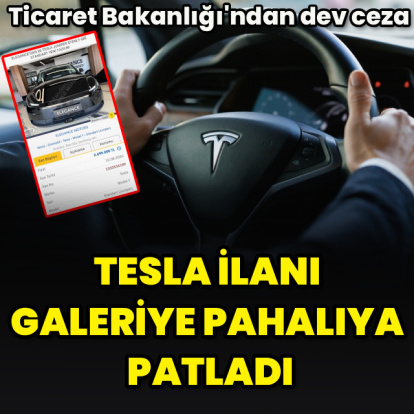 Tesla ilanı galeriye pahalıya patladı