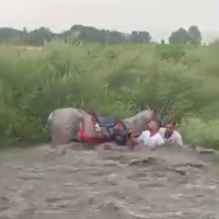 Cirit takımı faciadan döndü! Sele kapılmaktan son anda kurtuldular!
