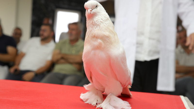 Değeri evle, arabayla yarışıyor!